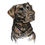 Thumbnail: Libby The Labrador A3 Print
