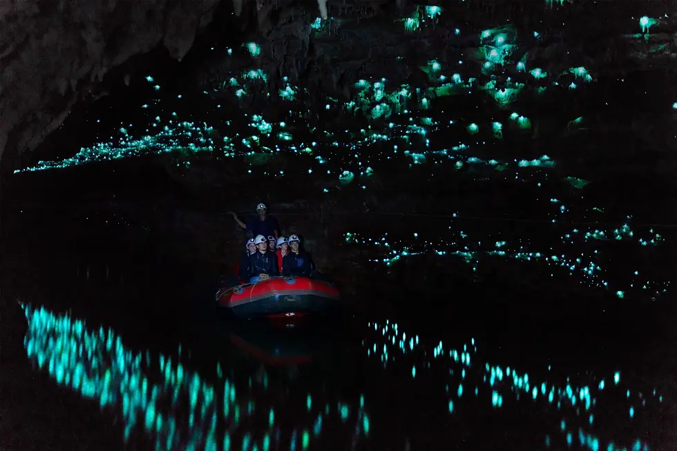 Waitomo Caves