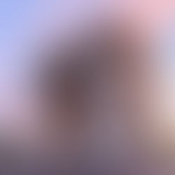 Arco del Triunfo en París