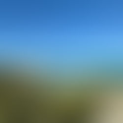 Reserva Natural De Hoop en Garden Route