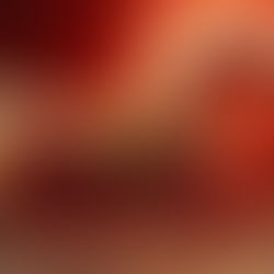 Red Fire Horse symbol from Chinese astrology representing the Year of the Horse and its powerful zodiac energy