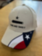 Come and Take It / TX Flag Cap