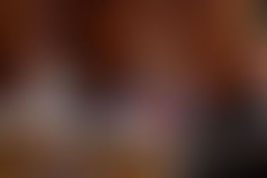 Maru Campos recibe en Palacio de Gobierno a diputados del Congreso del Estado