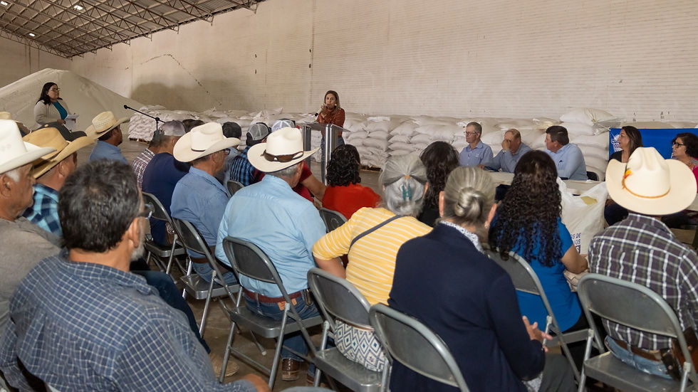 Entregan 547 toneladas de maíz a productores de Cuauhtémoc