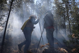 Llama SDR a reforzar medidas de prevención contra incendios forestales