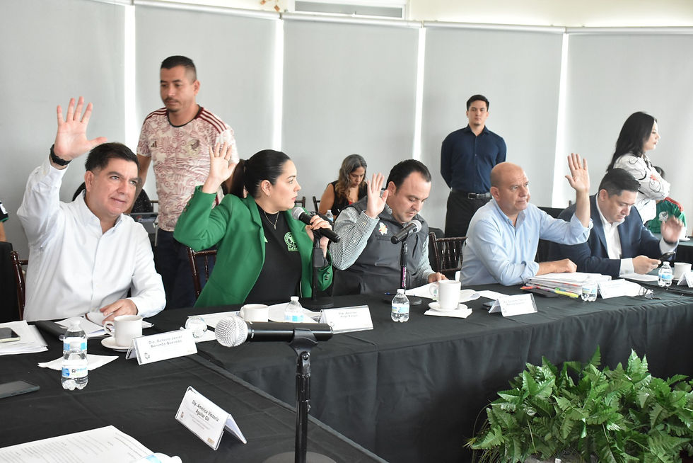 Avanza el análisis de la reforma electoral y municipal