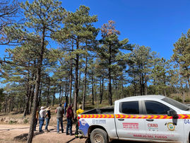 Intensifica Desarrollo Rural acciones para el combate y control de plagas forestales