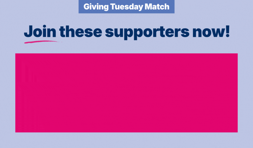 Giving Tuesday 2025, Appeal 6 Donor Scroll, Final.gif