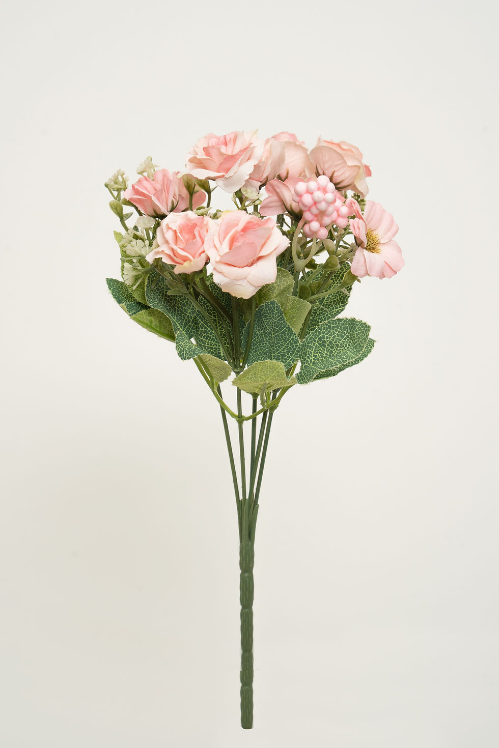 縮圖：玫瑰|菊_22A019