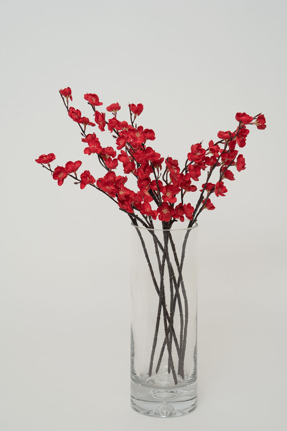 縮圖：梅花_22A117