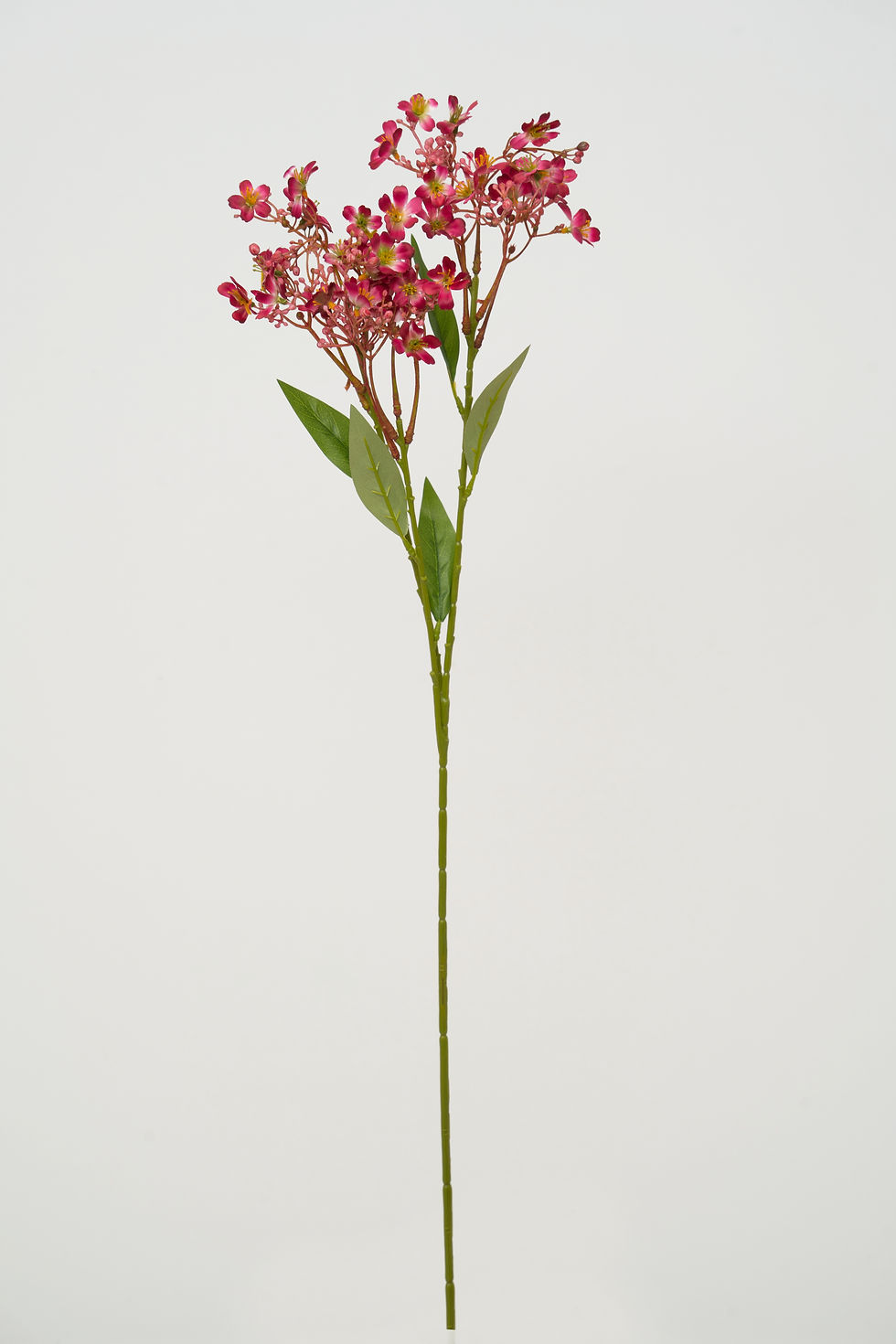 縮圖：小碎花_22A322