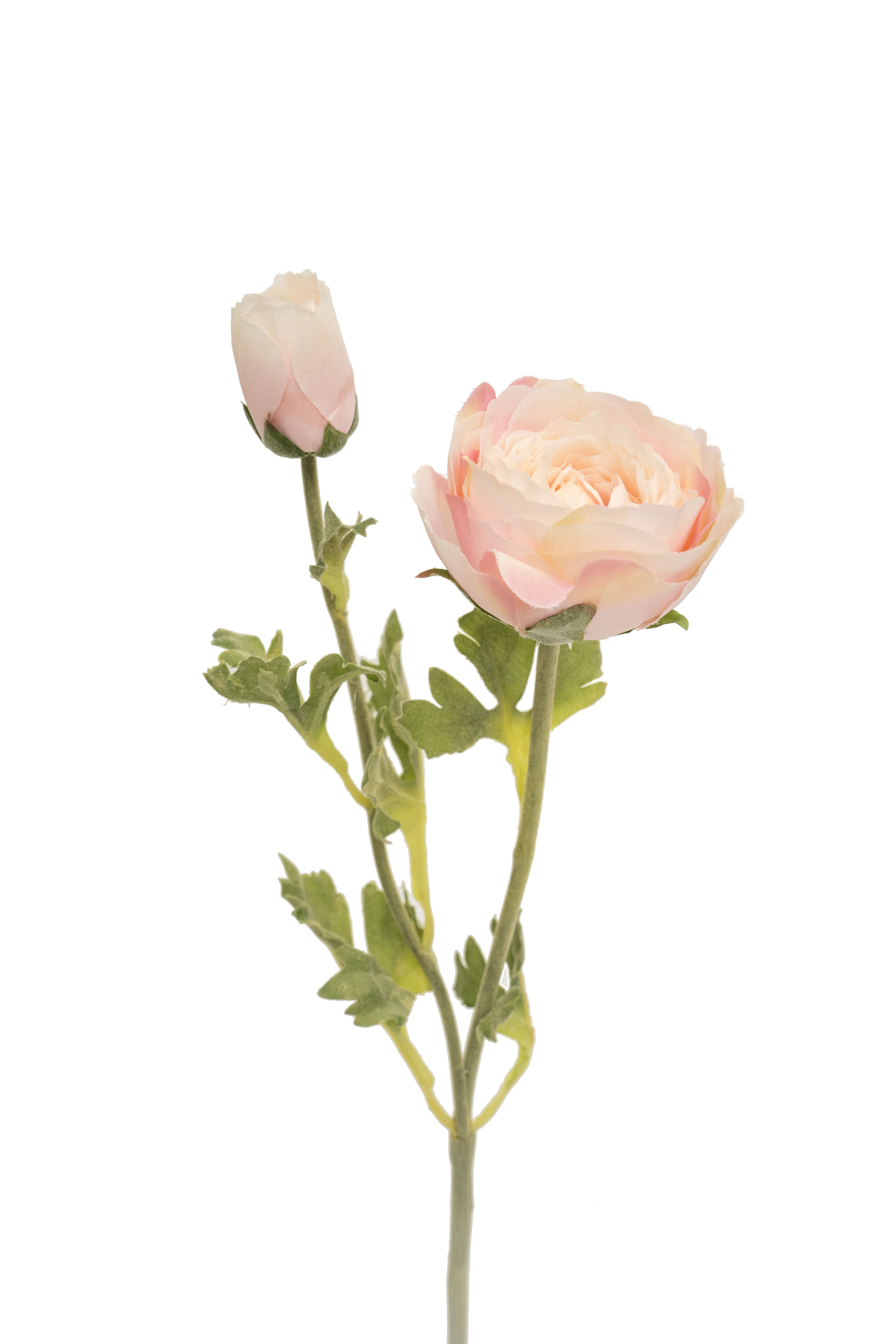 [多色]小牡丹_M004