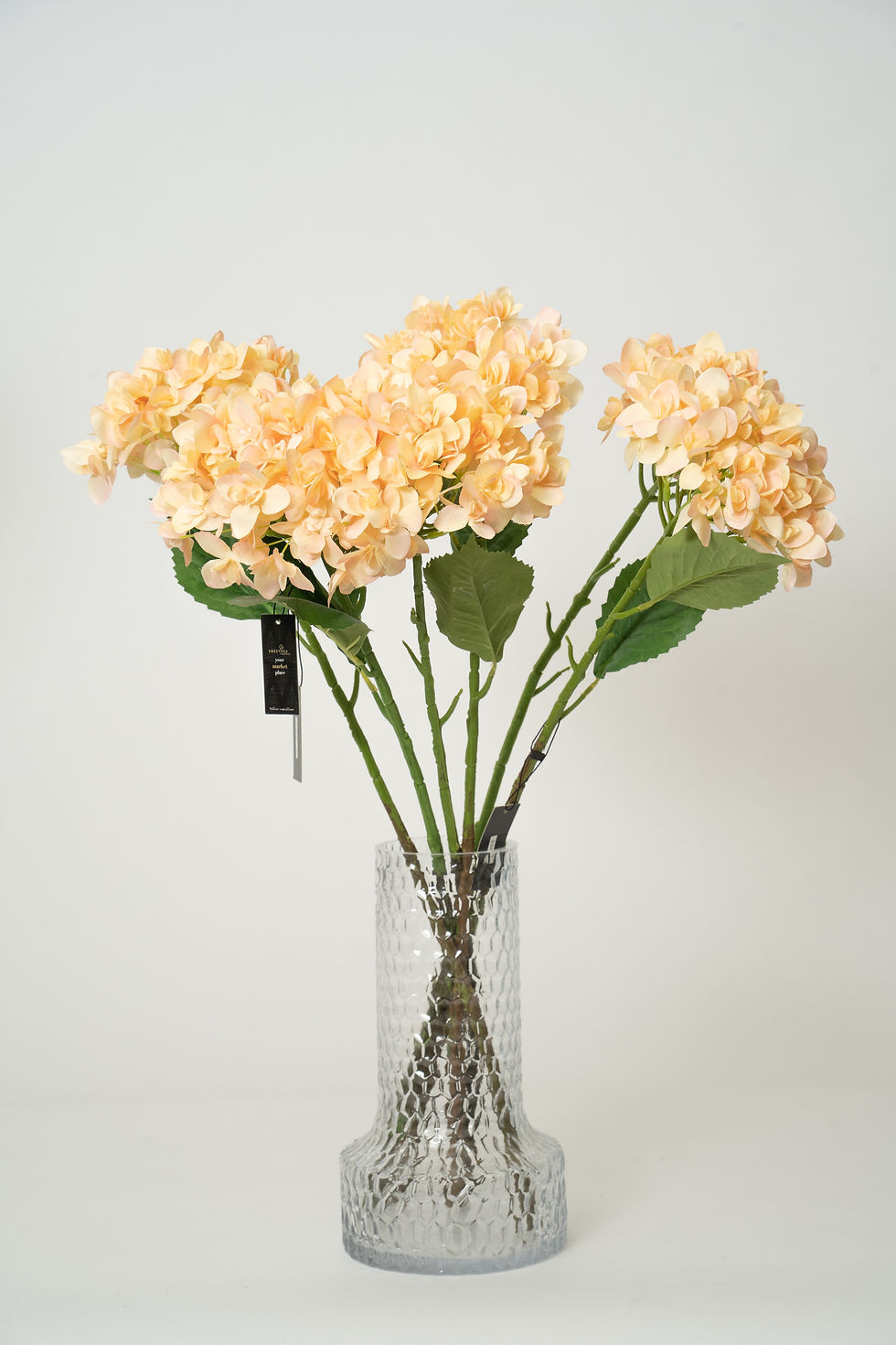 縮圖：繡球花_22A057