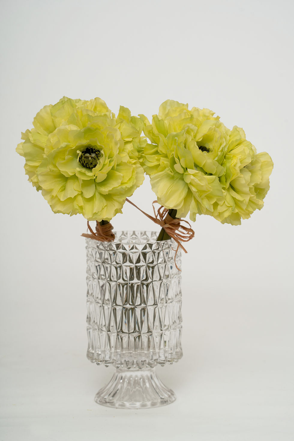 縮圖：牡丹_22A411