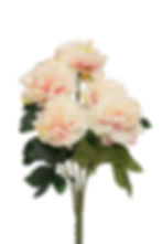 縮圖：[多色]牡丹_M003