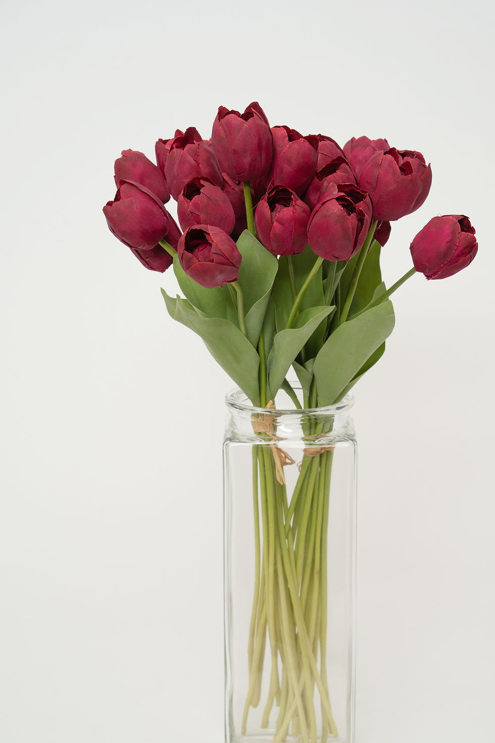 縮圖：鬱金香_22A094