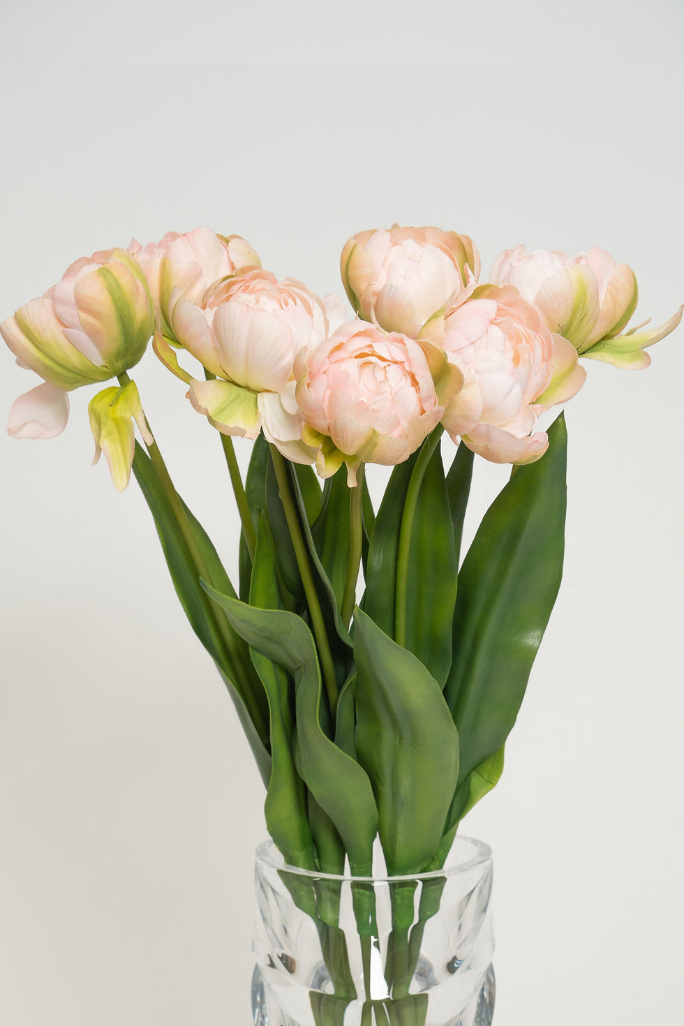 縮圖：鬱金香_22A039