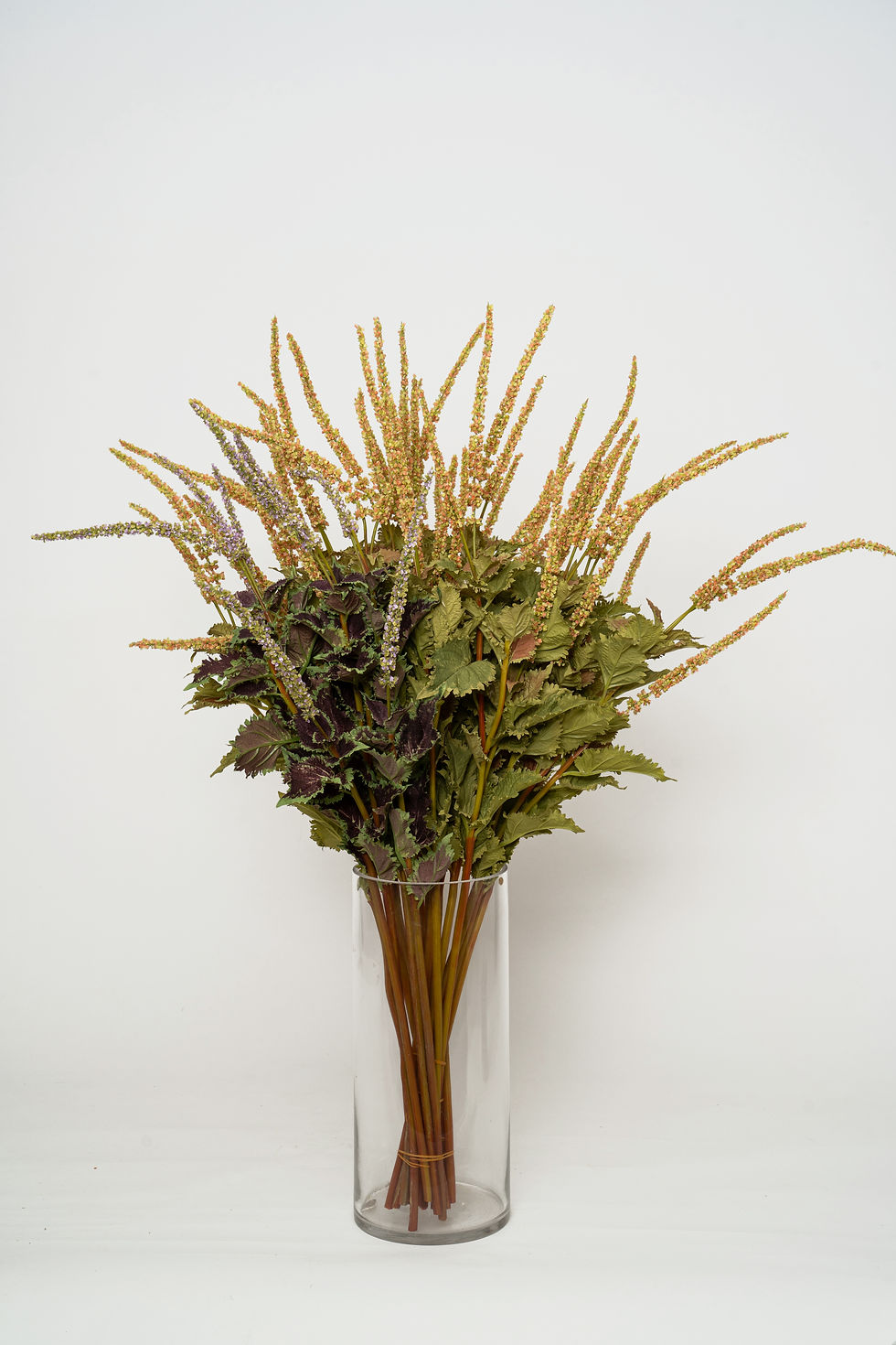 縮圖：鼠尾草_22A400