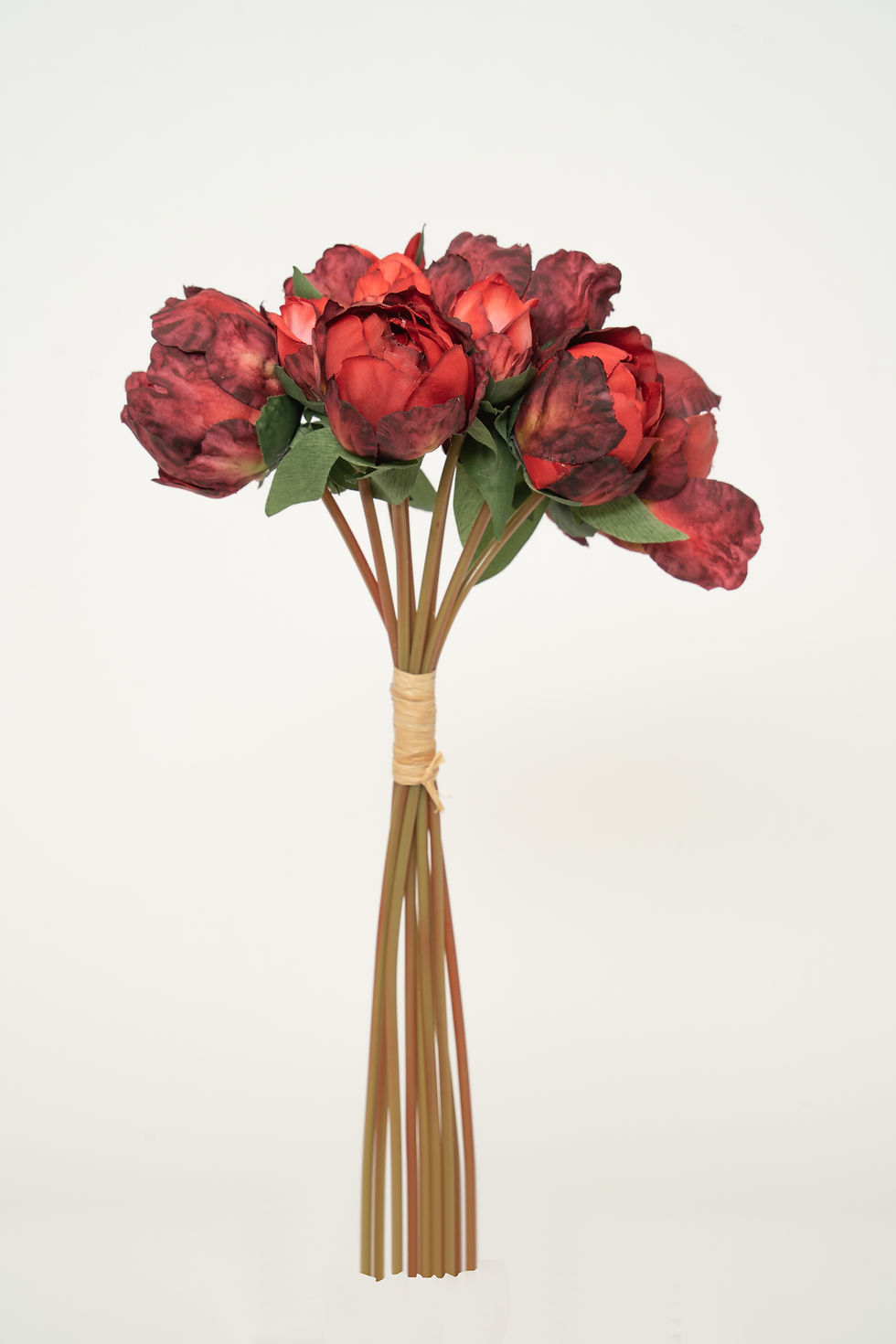 縮圖：繡球花_22A063