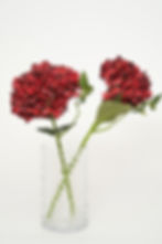 縮圖：[多色]繡球花_M050