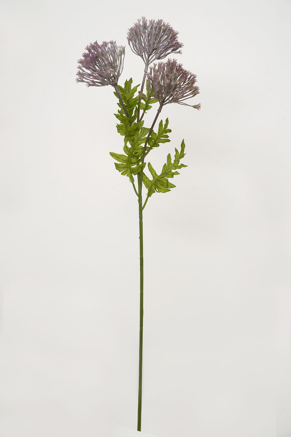 縮圖：[多色]大蔥花_M022