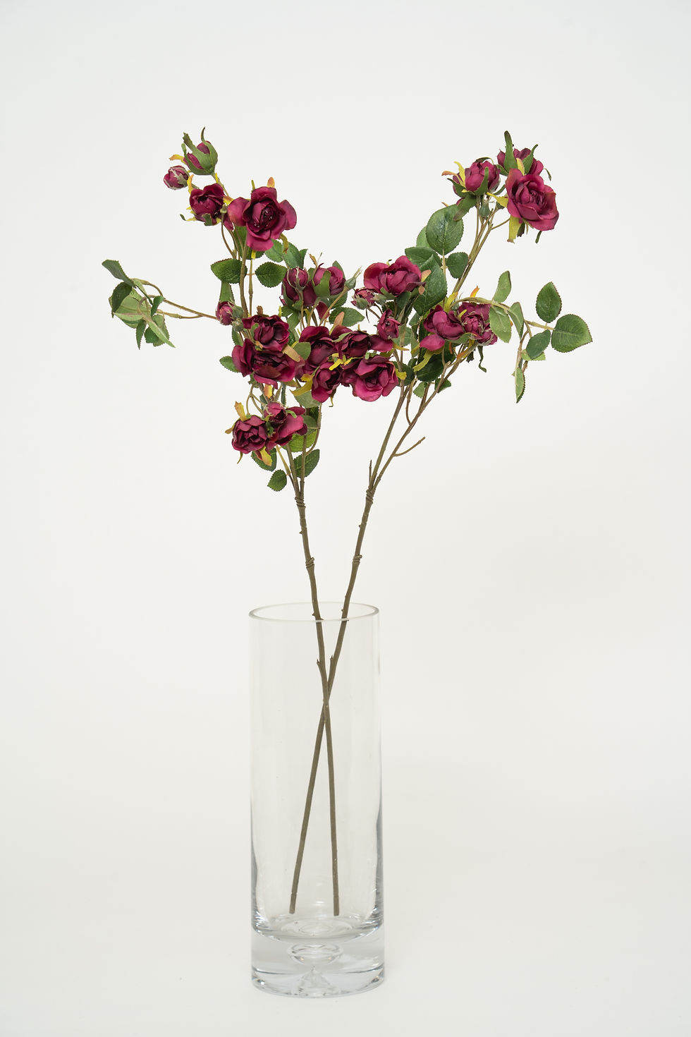 縮圖：玫瑰_22A105