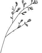 Hindi Belle Ayurvedic Doula