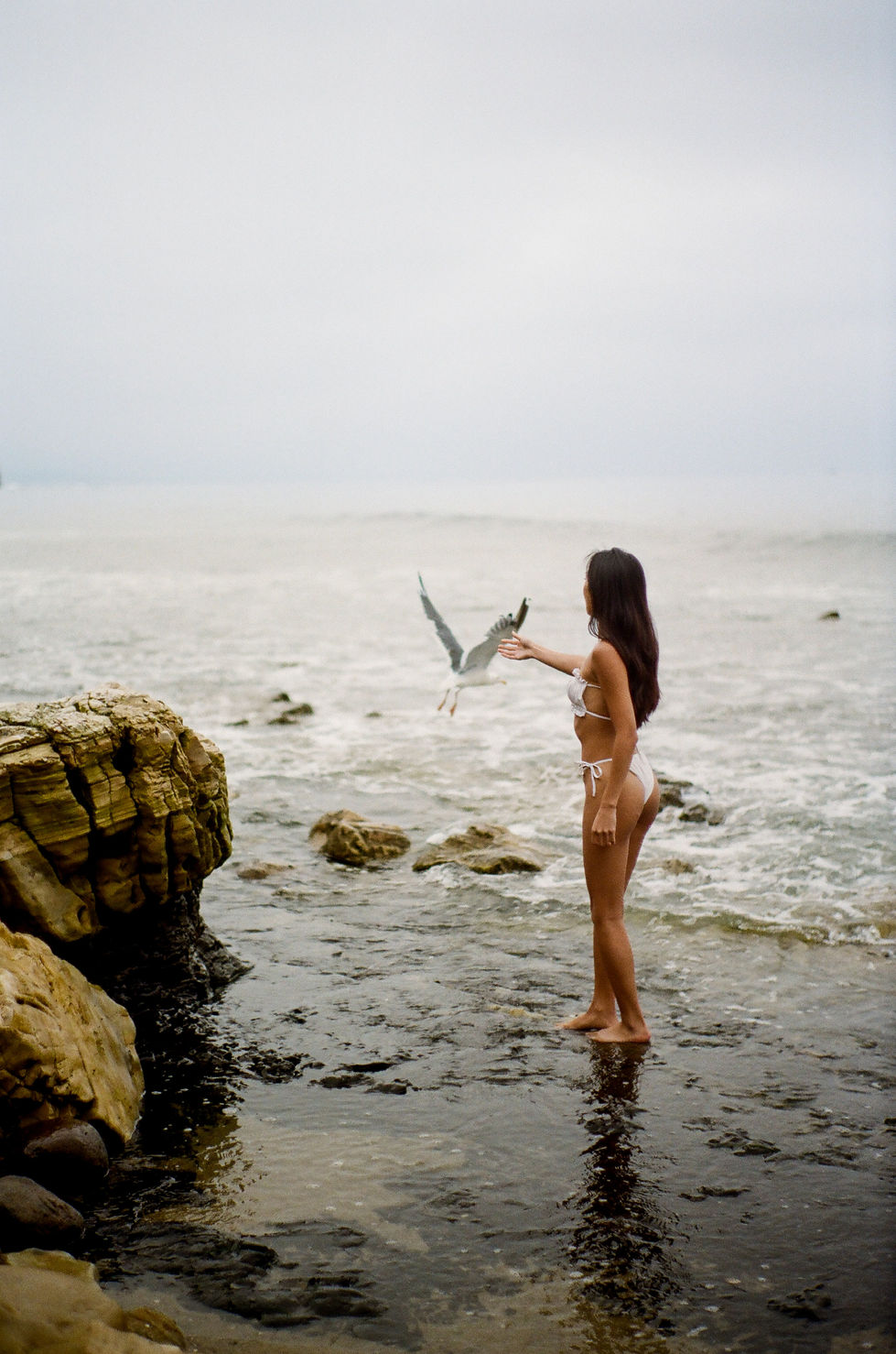 image00011