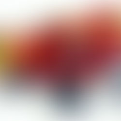 Nature's Pharmacy: Berries and Fruits Take Center Stage to Enhance Your Health