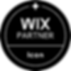 Webdesign offizieller Partner von Wix Wix Partner Icon