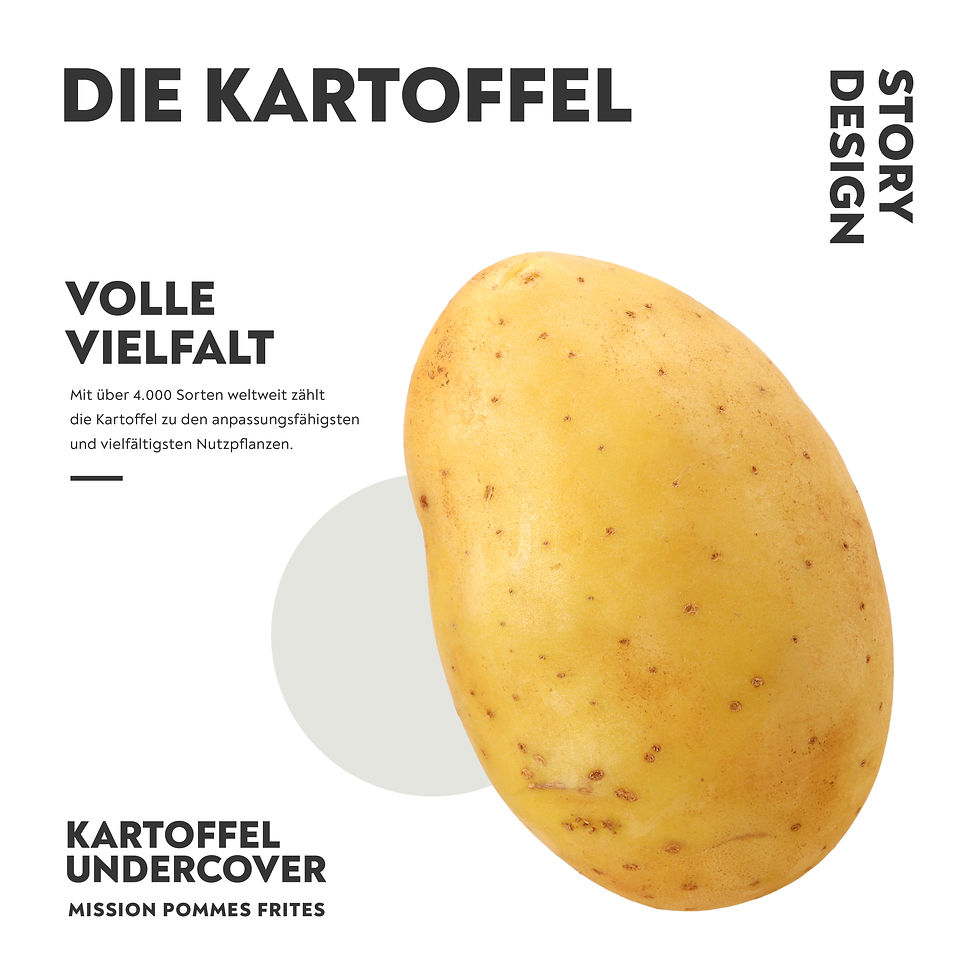 Ist Design wichtig? Warum ist Design wichtig? Proportio Divina Design erklärt und zeigt auf, warum Grafikdesign wichtig ist und wie es den Erfolg stiegert.