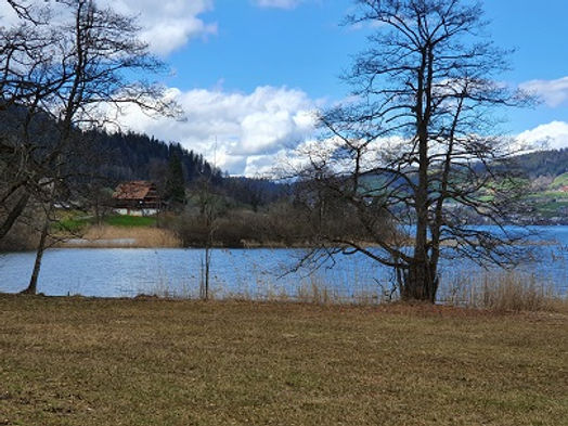 ägerisee_20210312_133748k.jpg