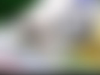 Calciomercato 2019 - Ma che cosa sta succedendo?