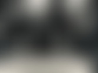 HAERTEL - WASCHER - STIPPICHs