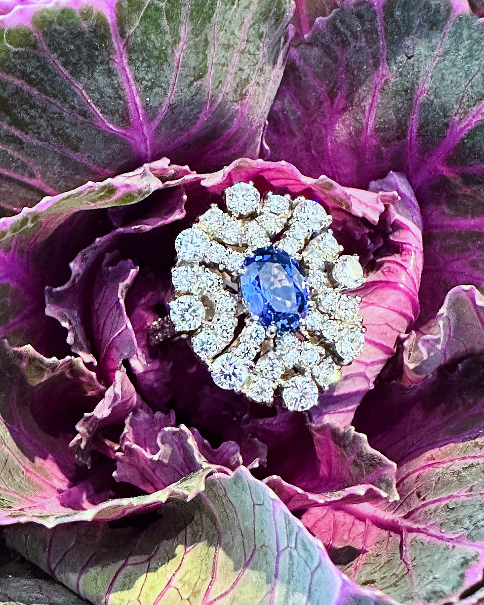 A Sublime Sapphire And Diamond Cluster Ring Youngs Jewellers a-sublime-sapphire-and-diamond-cluster-ring-youngs-jewellers