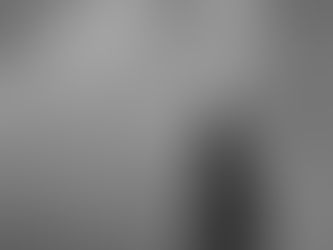 EL MITO DE UN DÍA HUMANO