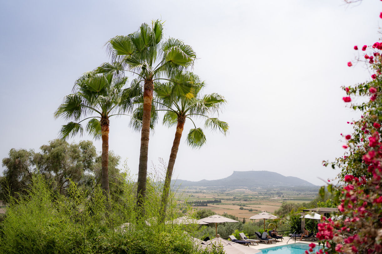 Palm trees and countryside views at Finca Serena in Mallorca.
