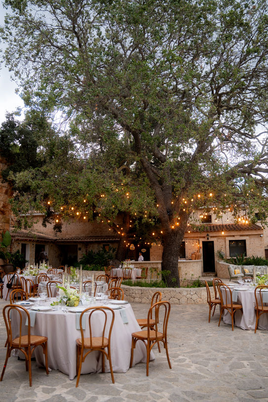 Outdoor wedding reception beneath olive trees at Bodega Terra ION Mallorca.