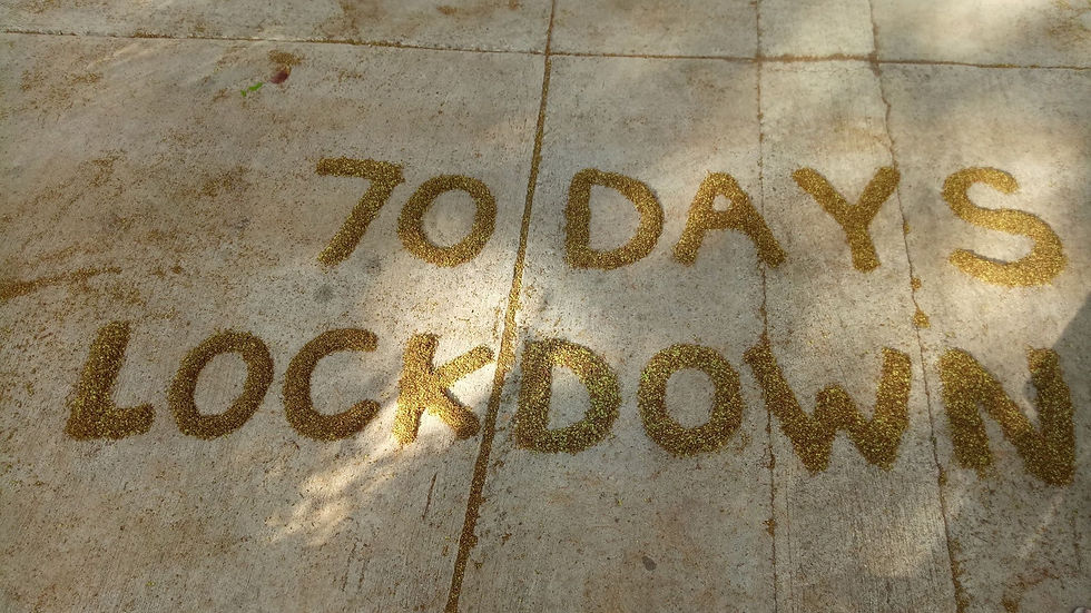 The kids at CSC arranged the leaves to mark a major milestone.