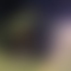 A Timeline Part 4: Martial ECQ?