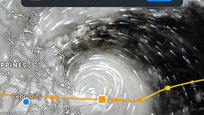 Typhoon Tino: Counting the Cost