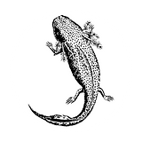 round-wtwglogo.png