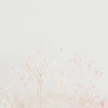 Blanc Photographique élégant Post Instagram.png