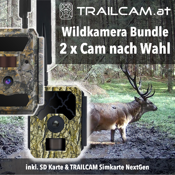TRAILCAM Bundle – 2 x Wildkamera