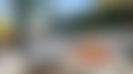 Where to Stay in Nashville for a Bachelorette Party (Neighborhood Guide)