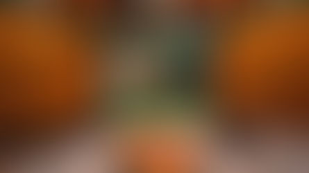 Where to Stay in St. Augustine for a Weekend Getaway