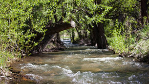 Best Hiking Trails Near Boulder With Mountain Views