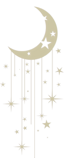 1_edited_edited.png