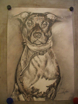 Lucrare artistica.182