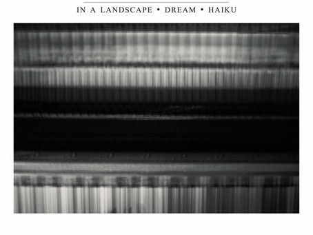 È uscito"In a Landscape / Dream / Haiku", il nuovo progetto del compositore Raffaele Grimaldi